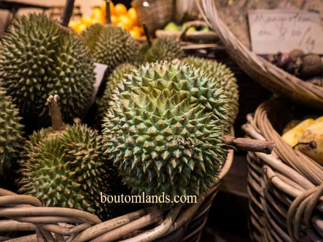 durian i Thailand